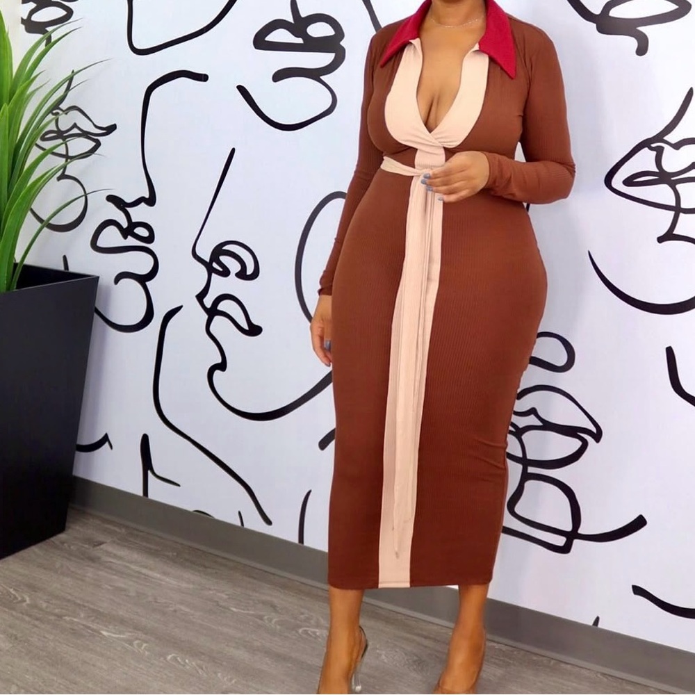 Elegant Brown and Cream Long Sleeve Dress